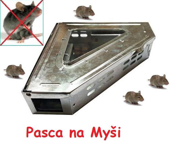 MKSTOR Pasca na myši