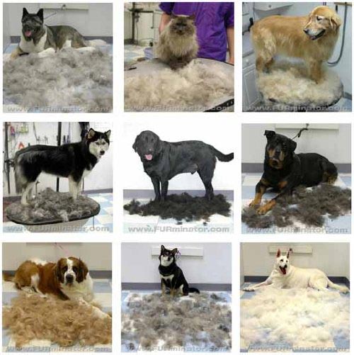Furminator Kefa pre psov a mačky