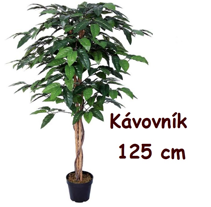 MKSTOR Umelý strom Kávovník 125 cm