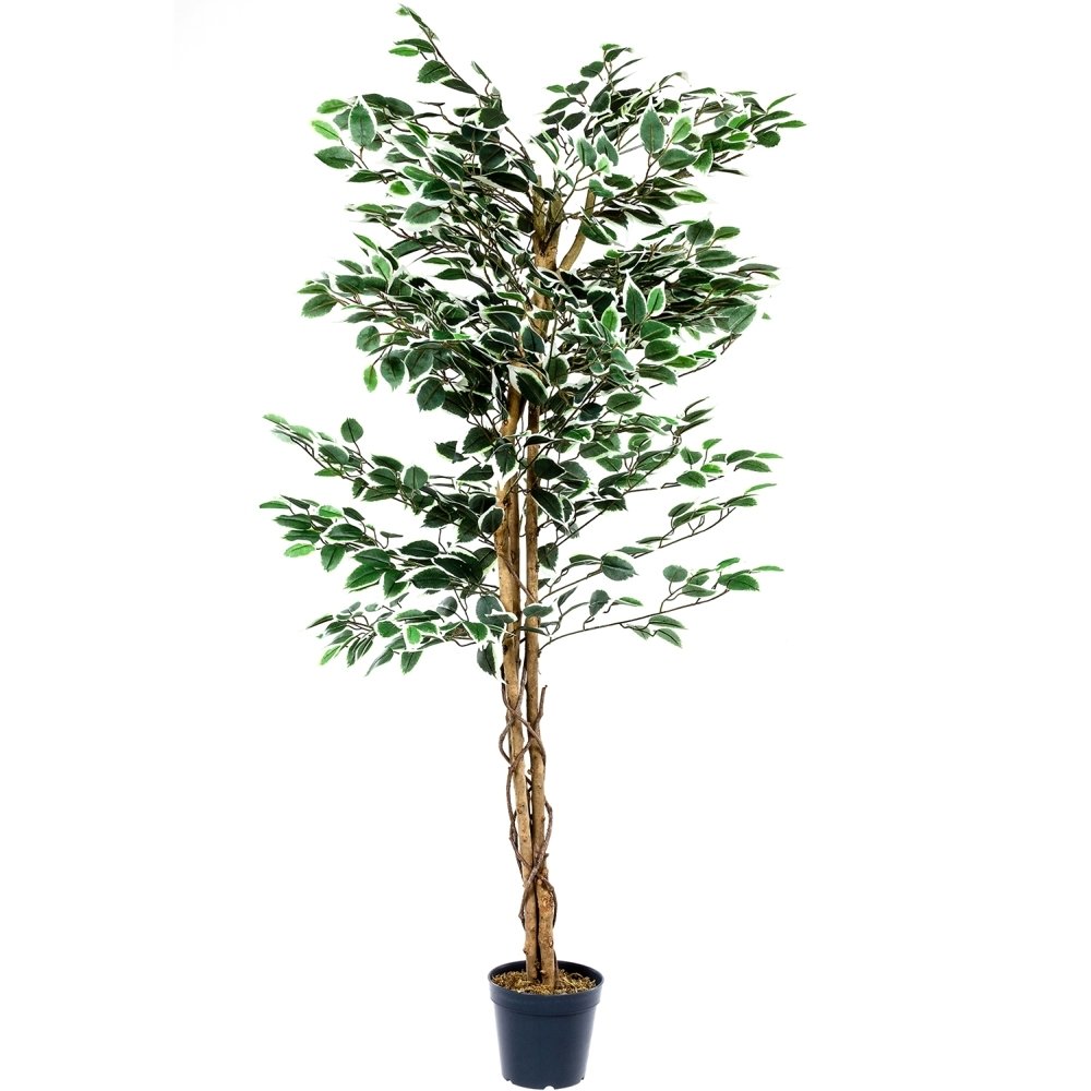 Plantasia Umelý strom fikus Benjamín 160 cm