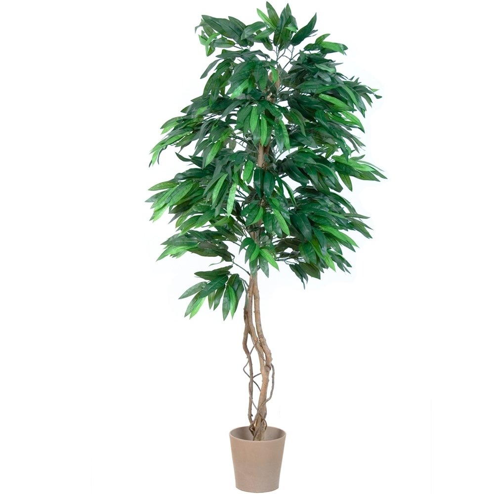 Plantasia Umelý strom mango 180 cm